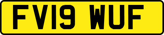 FV19WUF