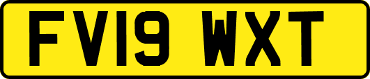 FV19WXT