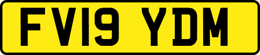 FV19YDM