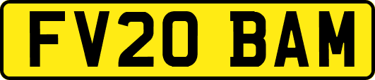FV20BAM