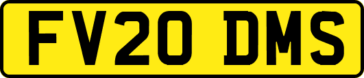 FV20DMS