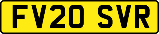 FV20SVR