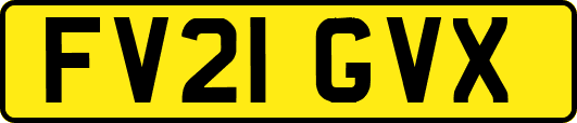 FV21GVX