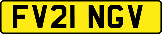 FV21NGV
