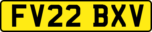 FV22BXV