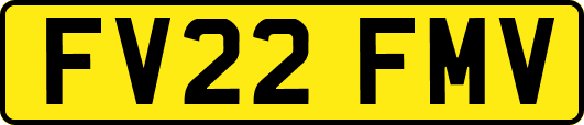 FV22FMV