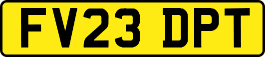 FV23DPT
