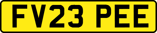 FV23PEE