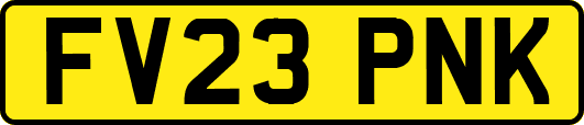FV23PNK