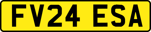 FV24ESA