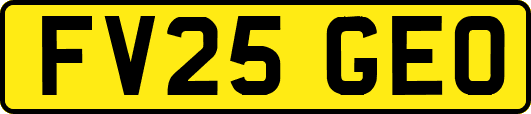 FV25GEO