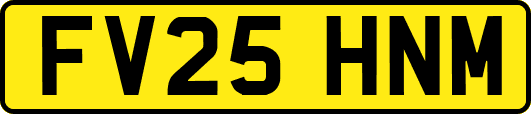 FV25HNM