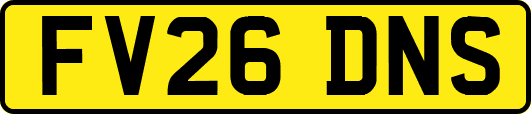 FV26DNS