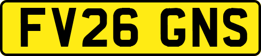 FV26GNS