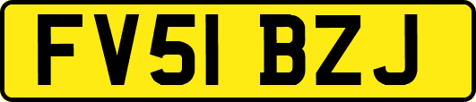 FV51BZJ