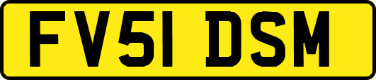 FV51DSM