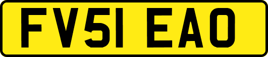 FV51EAO