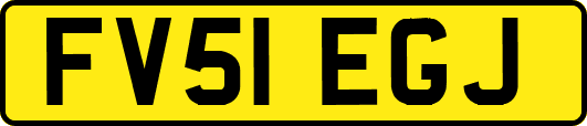 FV51EGJ