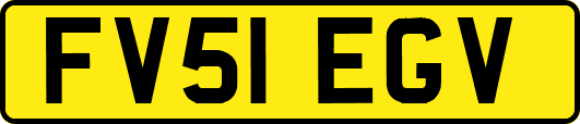 FV51EGV