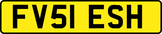 FV51ESH