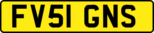 FV51GNS