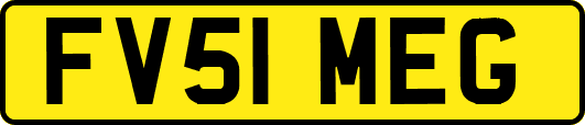 FV51MEG