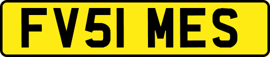 FV51MES