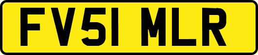 FV51MLR
