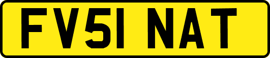FV51NAT