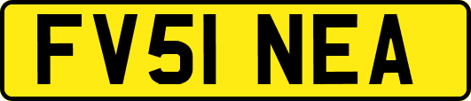 FV51NEA
