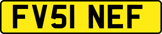 FV51NEF