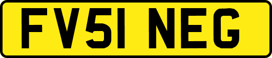 FV51NEG