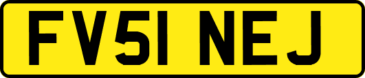 FV51NEJ