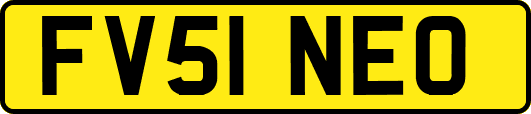 FV51NEO