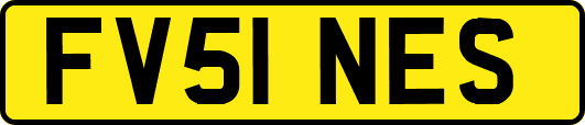 FV51NES
