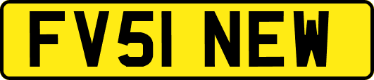 FV51NEW
