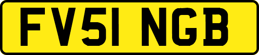 FV51NGB
