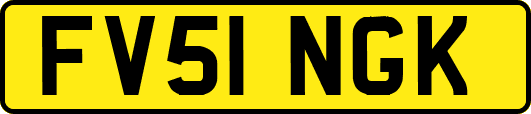 FV51NGK