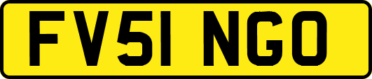 FV51NGO