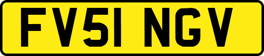 FV51NGV