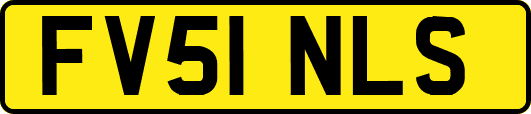 FV51NLS