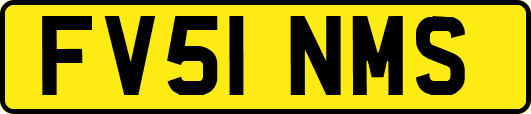 FV51NMS
