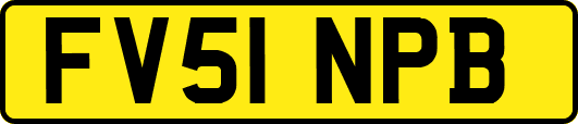 FV51NPB