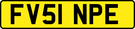 FV51NPE