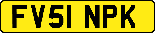 FV51NPK