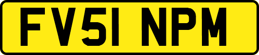FV51NPM