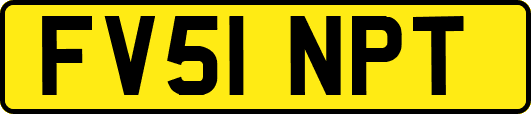 FV51NPT