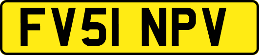 FV51NPV