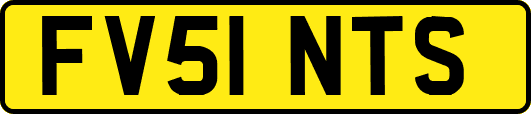 FV51NTS