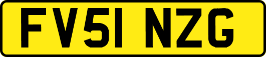 FV51NZG